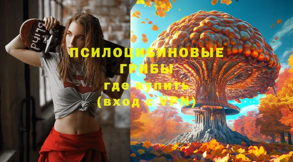 тгк Верхний Тагил